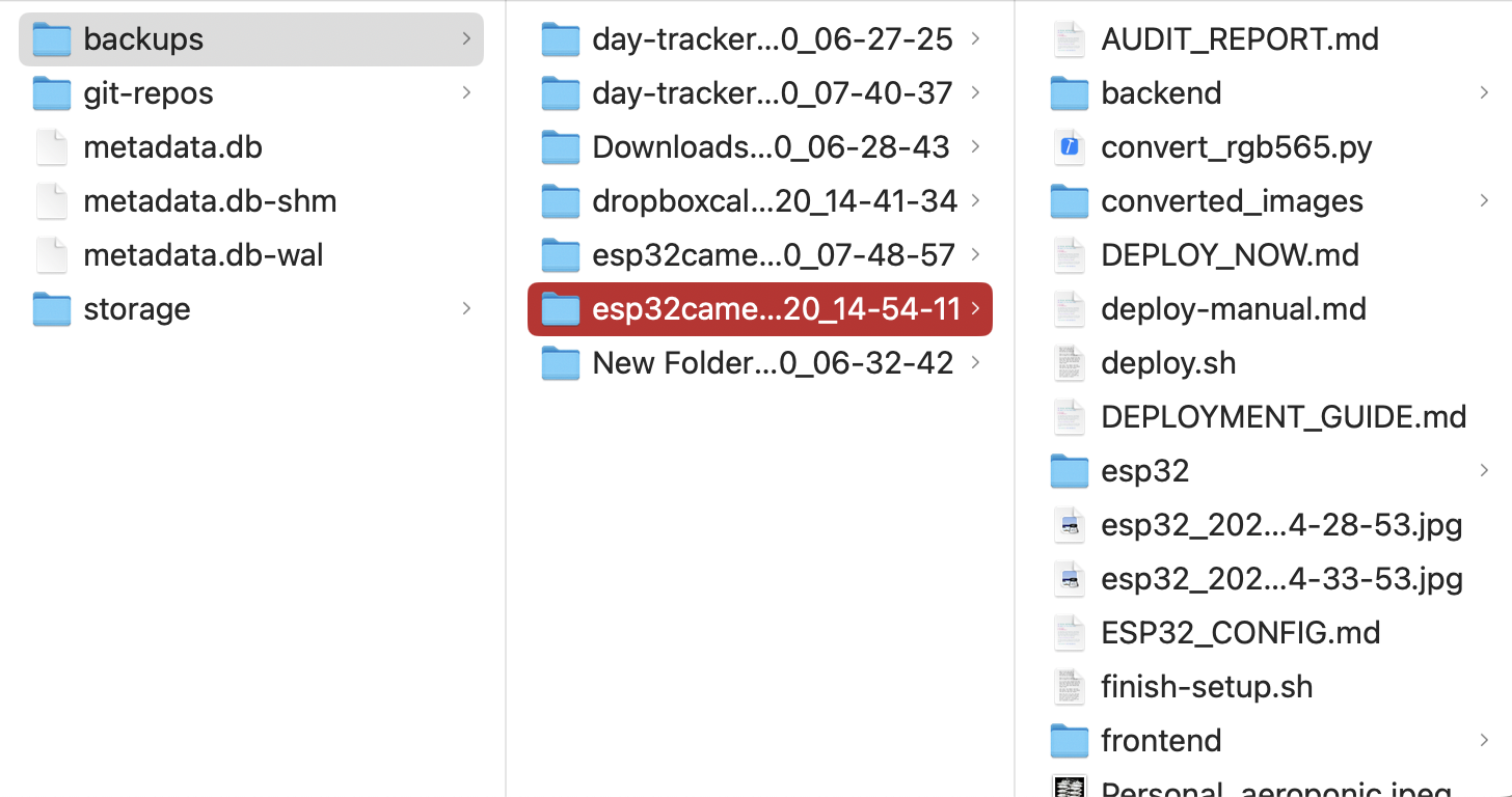 Automatic backup snapshots with timestamps